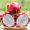 Dragon Fruit