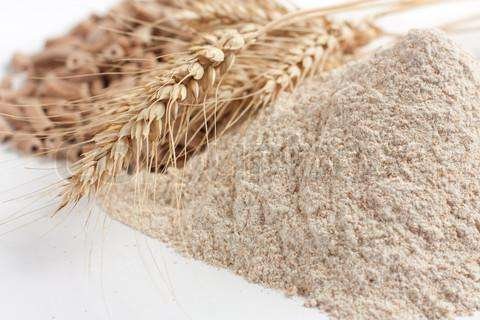 Wheat Grain / Wheat Flour